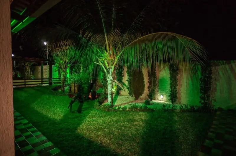 Coqueiro iluminado em verde no jardim, à noite
