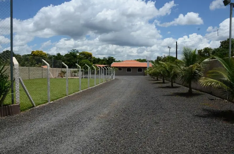 Alameda de entrada com palmeiras e, à esquerda, o campo de futebol gramado cercado por alambrado