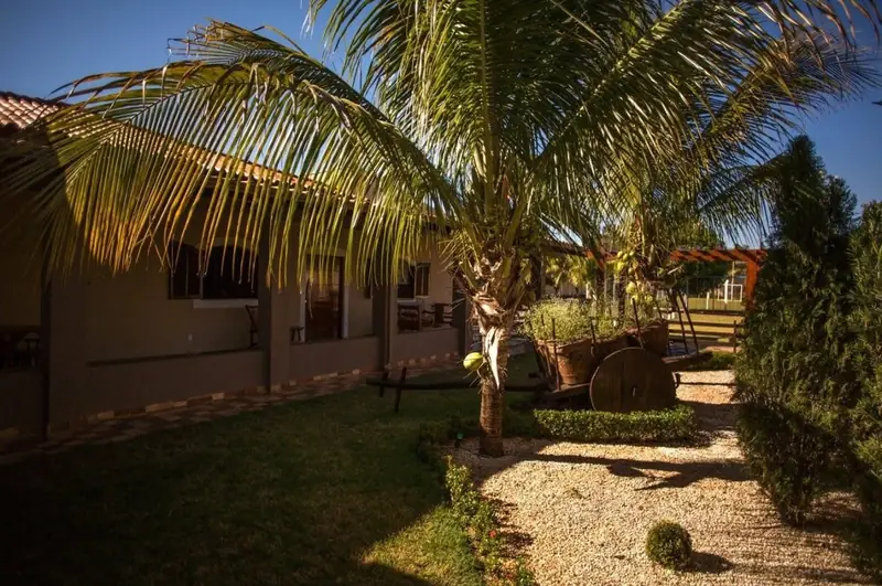 Jardim com coqueiro, caminho de pedriscos e roda de carroça decorativa ao lado da casa